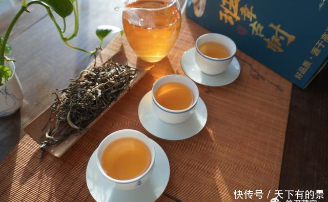  古树纯料|深度解析！纯料与拼配之争，哪个更好？