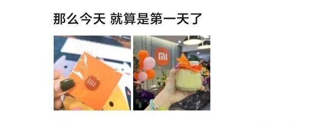 子公司|紫米成小米全资子公司,紫米员工:正式成为小米员工