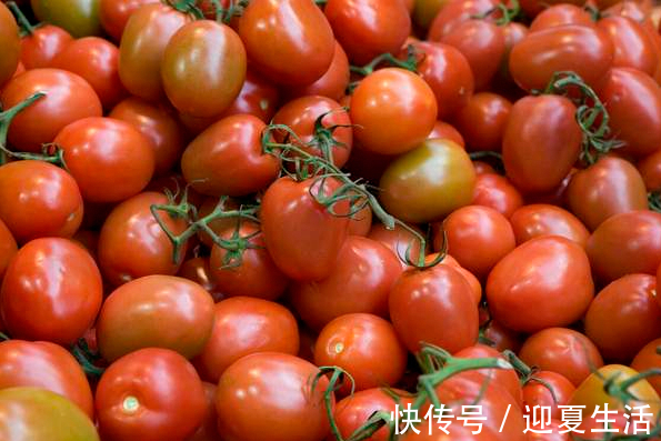 塑料袋|夏天保存西红柿，不需要放冰箱，菜农教你土方法，保存7天也鲜甜