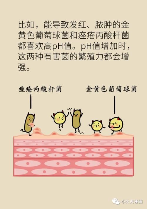 皮肤表面酸碱度居然这么重要！好皮肤需要「科学喂养」！