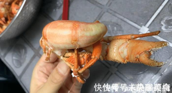 海兔|误认为是“大海螺”,花250块钱买6斤,回家上锅一蒸,太惊喜了