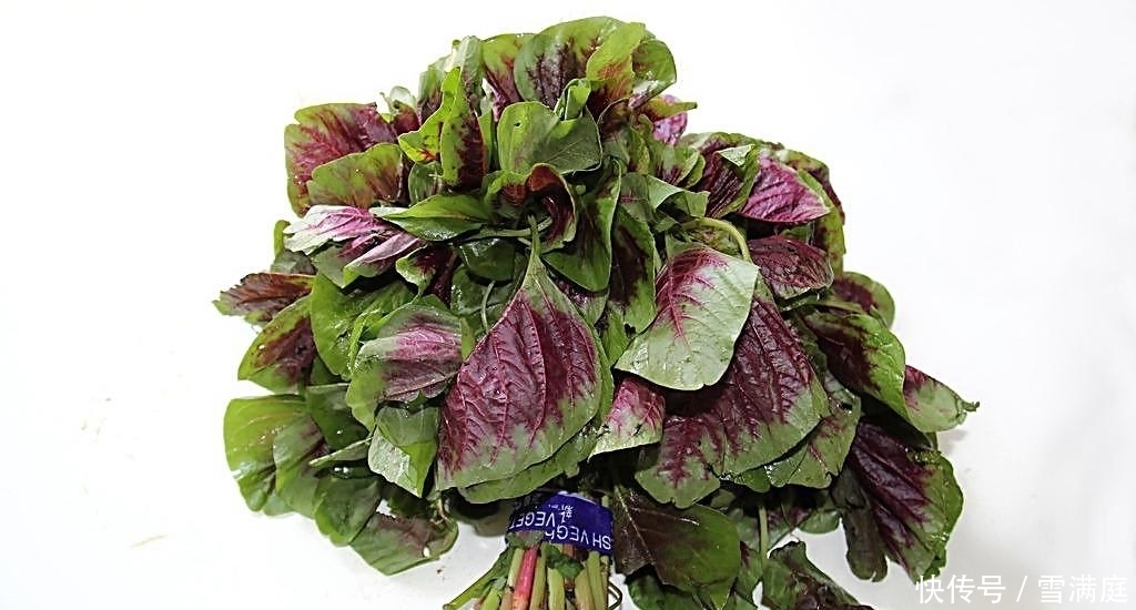 夏天|这几种野菜精挑细选,夏天清热、治流感,化瘀解毒,能药食两用!