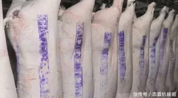 蓝色|猪肉上“红章”和“蓝章”区别在哪？网友：不小心吃了母猪肉