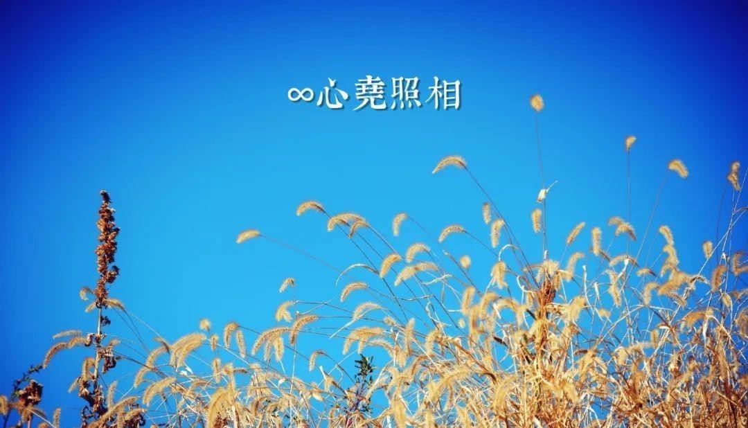 镜头|重拍北京旧日遗存,透过现实的镜头了解逝去的历史——新街口周边