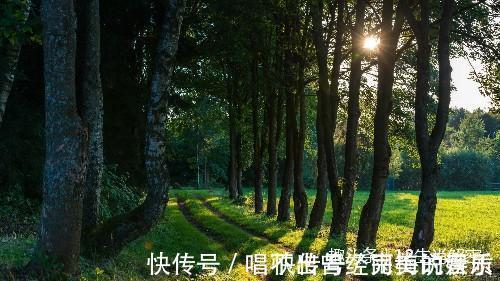 福星高照|17号开始，运势一路飙涨，鸿运当头，横财千万，大富特富3生肖