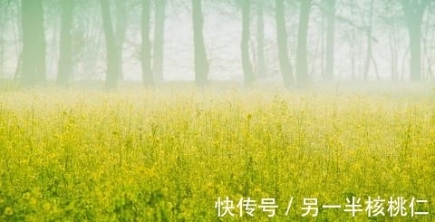 运势|9·24-9·29这3大生肖运势大发，生意兴隆赚到很多钱