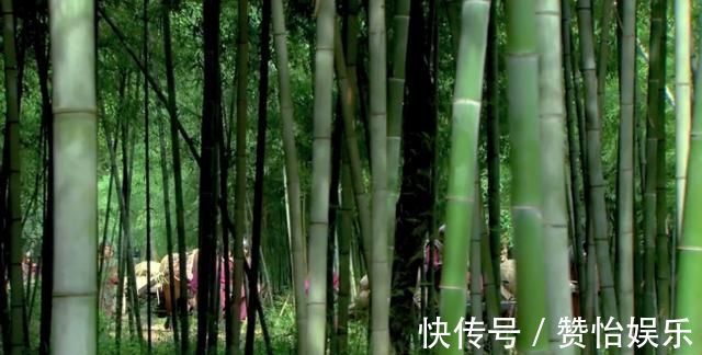 大慧#王阳明的“看花论”,真的是唯心主义论调吗?我们该如何去理解?