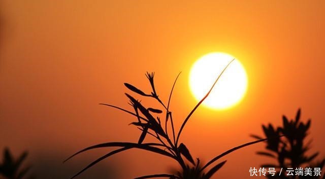 人到六十,夕阳无限好