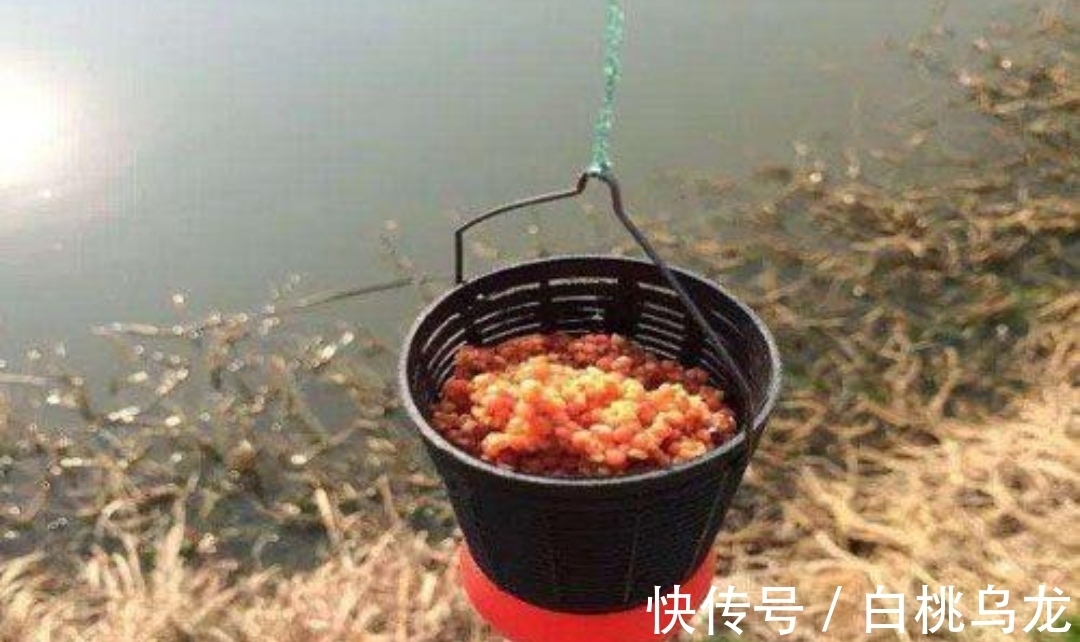 水域|冬季野钓鲫鱼,注意四个“小中求大”,鱼获多出不少