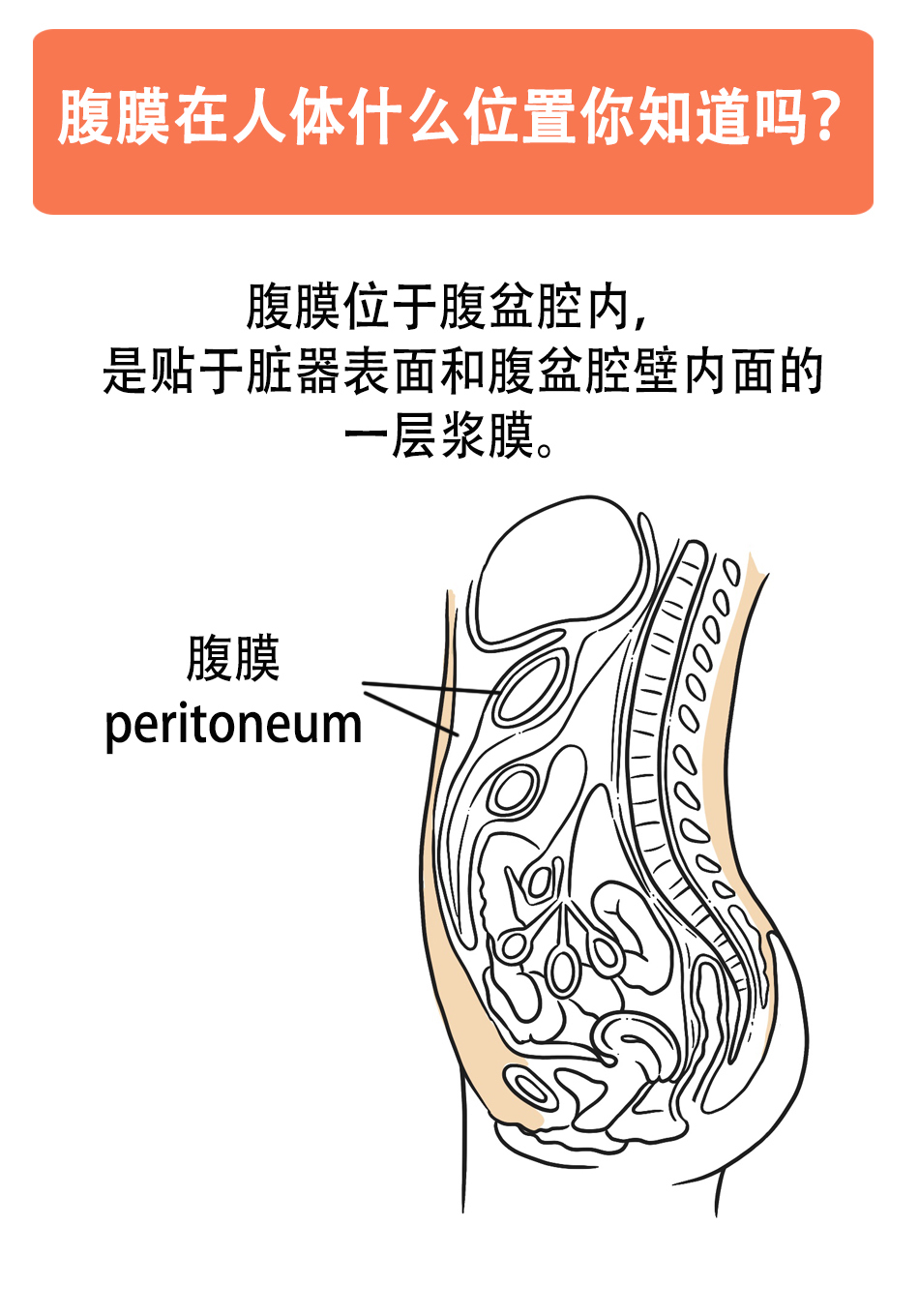 李雁|“老大难”腹膜癌能治吗？