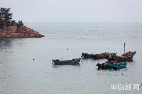 中年|海鸥蹁跹 渔船飘荡 崂山处处皆风景