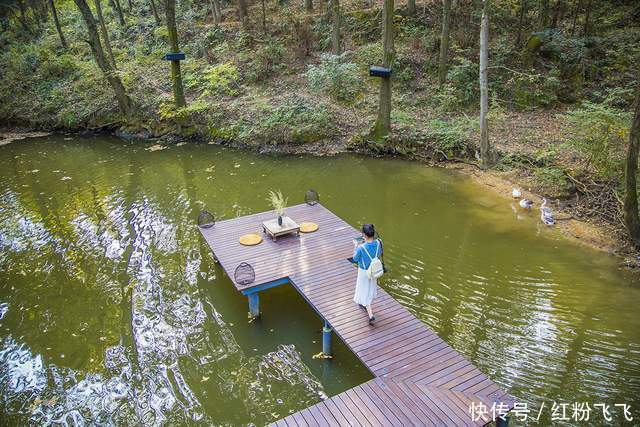 山下|首批国家级旅游度假区，木兰山下向往生活，黄陂精品民宿你住过吗