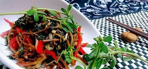 延缓衰老|好食物吃出好身体，女性常吃以下食物，补血益气，延缓衰老