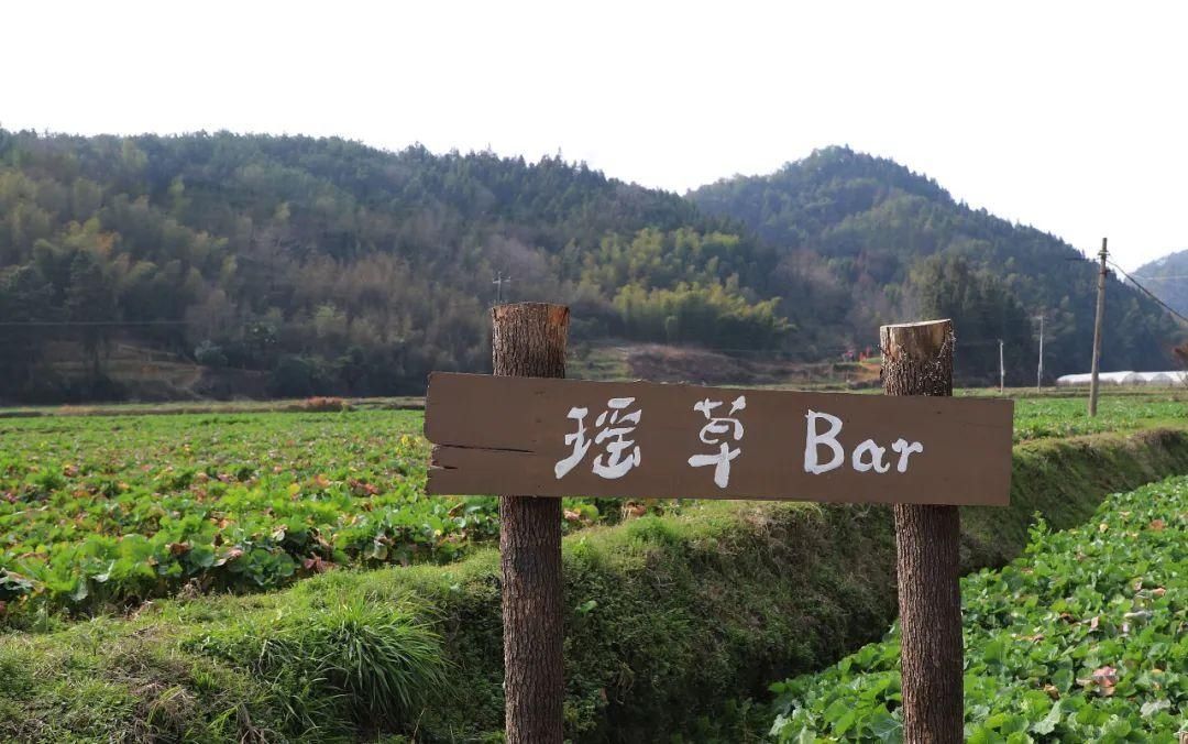 瑶草bar！带你打卡屯溪区乡村旅游“网红点”！