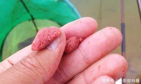 超高|黑坑“偷驴”滑口鱼,试着这样来应对,效率超高,中鱼率有保证