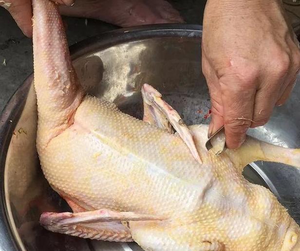 鸭毛怎么才能拔干净?学学老妈的3技巧,每次鸭毛拔得超干净