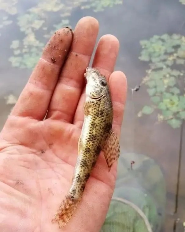 同样是钓鱼，为啥有的人钓了10年还没钓了2年的厉害？