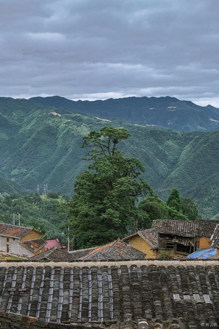 居所|太拉風(fēng)了！螞蟻探路帶領(lǐng)房車露營真人秀節(jié)目慶元拍攝圓滿殺青