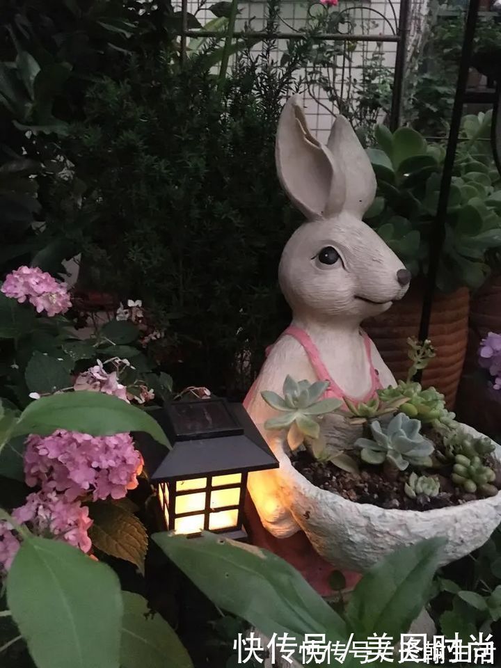 城市|在城市近郊买个40㎡的院子,闲暇时种种花草做做美食,惬意啊!