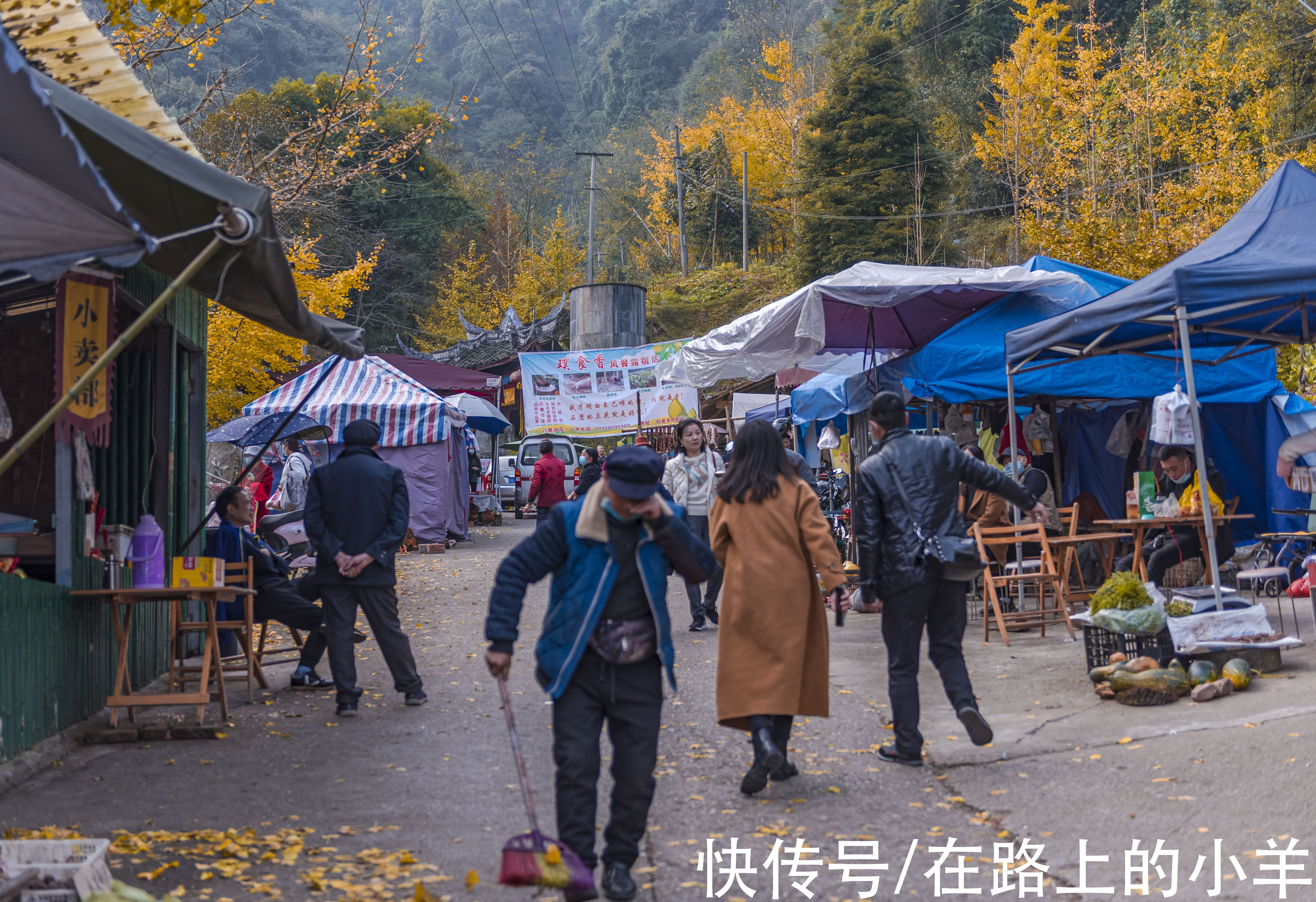 佛塔|开车2小时也要来的成都古寺银杏，不要门票很良心，每年只火七天