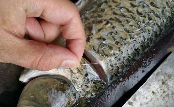 炖鱼汤|煎鱼时先不要倒油，多做这一步，煎出来的鱼才能又香又好吃