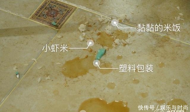 仿生|宝妈爱不释手的神级清洁机,去污除菌一次搞定,小孩再皮也难不倒!