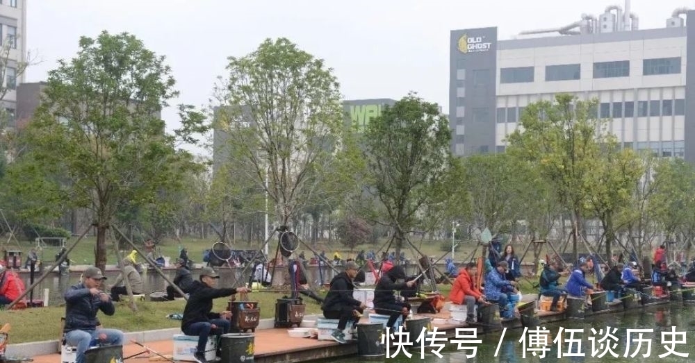 鱼情|黑坑作钓,鱼不开口,怎么办?