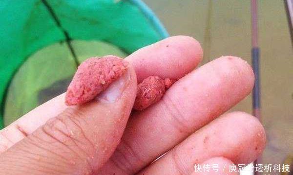 浮漂|调个漂要半天按照步骤来,简单快速,肯定错不了