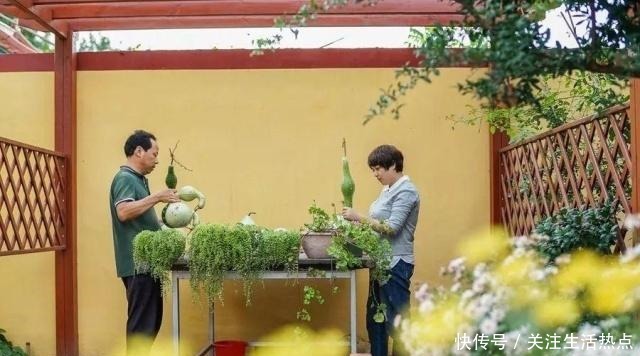 旧农舍改造成花园，一年四季花开不断，邻居看了羡慕的不得了！