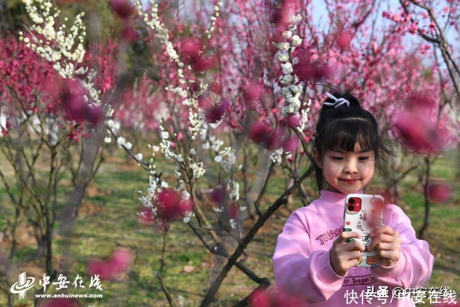 踏青赏梅 享受春光「组图」