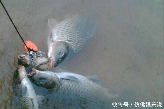 线组上这么个小玩意,不值钱,但是挑选不好费大线让你很郁闷