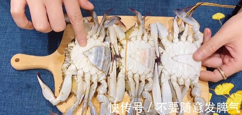 梭子蟹挑选小妙招,简单易懂,轻松挑选美味梭子蟹