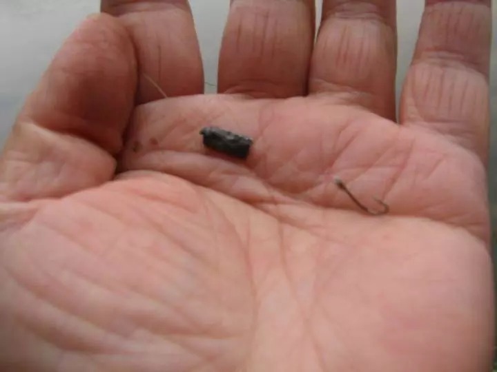 老钓翁送我饵,秘方公开