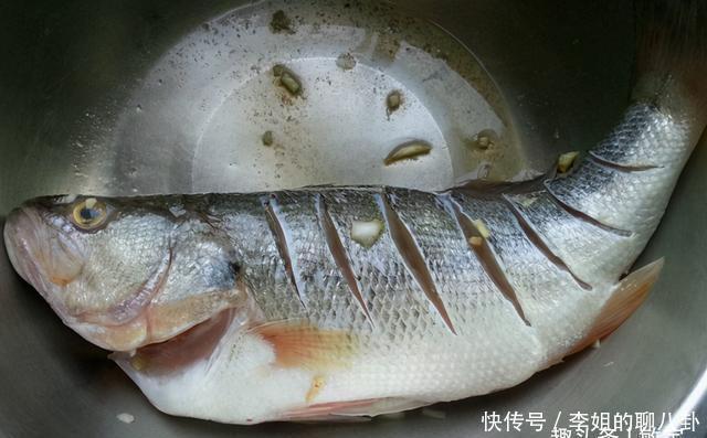 鱼肉|做清蒸鱼,多加关键的一步,鱼肉鲜嫩,还不带一点儿腥味!