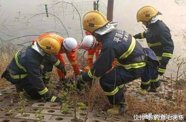 电线|高压线下的悲剧！将鱼钩甩上电线，重庆一钓鱼人险些被“烤焦”