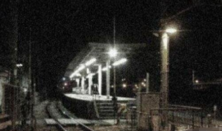 日本如月车站莲实回来了吗 如月车站事件7年后真相大白 快资讯