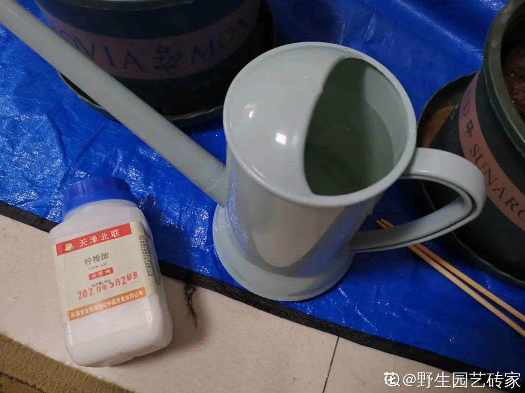 4种养花夺命水，秋天不要浇，一浇花就死！