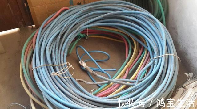 往花盆里丢“电线”，啥花都喜欢，难怪花和叶子“呼呼长”