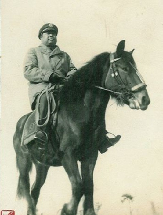 抗战|抗战初期,中国骑兵表现怎么样?老兵:打阵地战也不怕