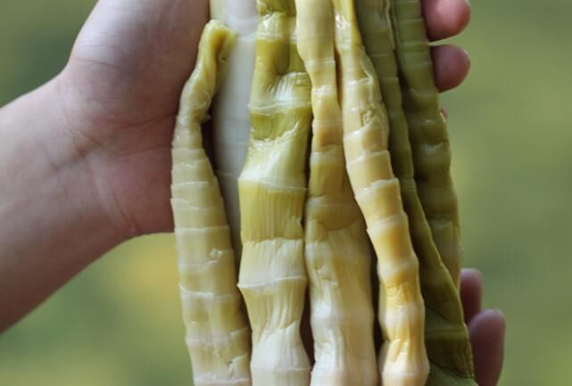 蕨菜|这些在农村野地里不起眼的野草, 关键时却能救命, 你认识几个