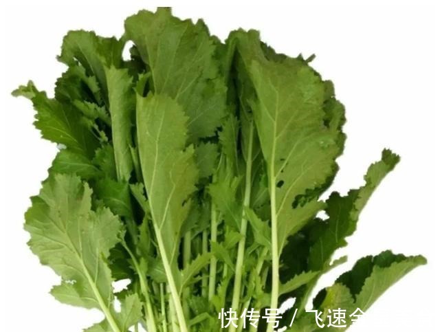 茴香|入冬后记得给孩子吃7种绿叶菜，维生素K含量高，价格也不贵！