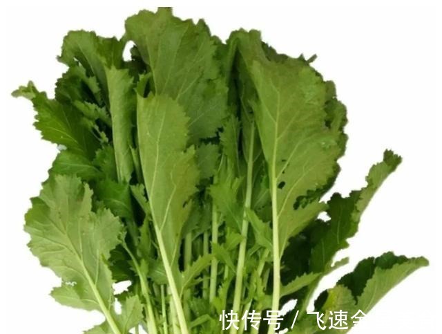 茴香|入冬后记得给孩子吃7种绿叶菜,维生素K含量高,价格也不贵!