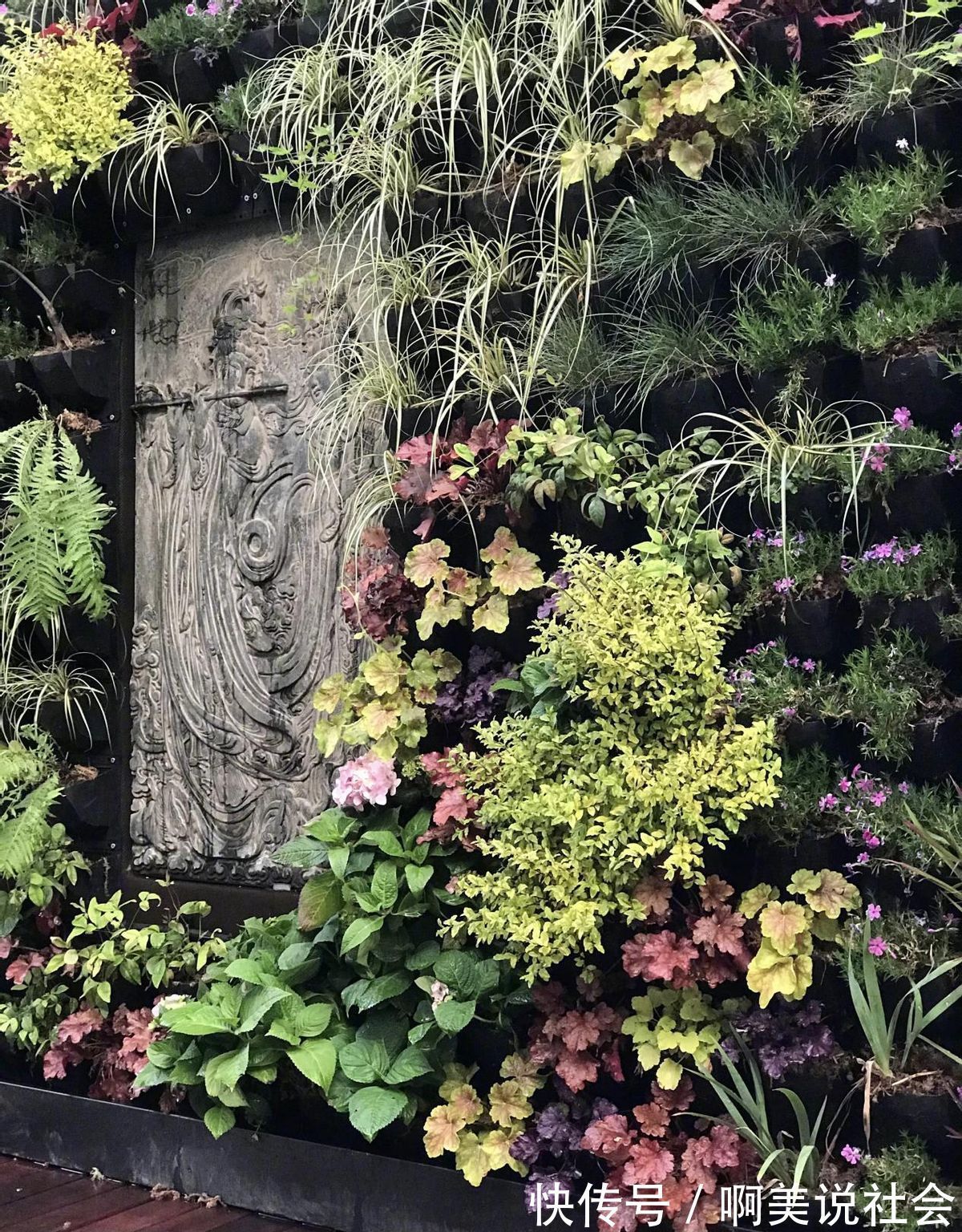 警察|“鬼才之眼”王昱珩一戰成名三戰封神,助警察成功破案,如今咋樣