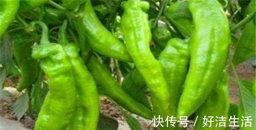 疲劳|女性到了中年，推荐吃3种食物，延缓衰老，缓解疲劳，早吃早好