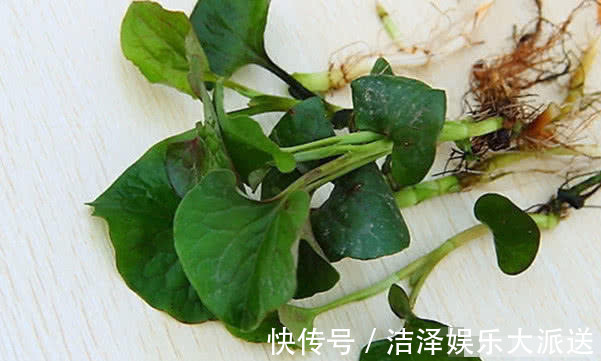 常吃|常吃以下3种食物，清热解毒、消肿散结，还能预防妇科病