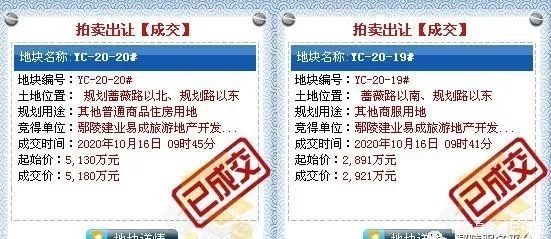 拍下|8100万元！建业拍下咱鄢陵两块地