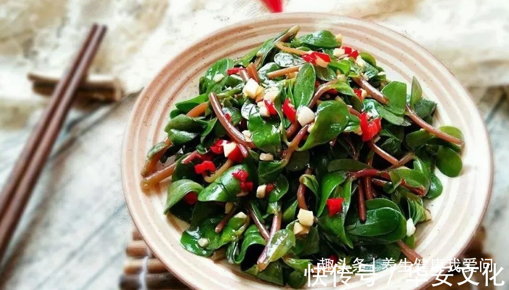 马齿苋|一味马齿苋，12种病症皆可治！痔漏、便血、各种顽疮、癣极痒等！