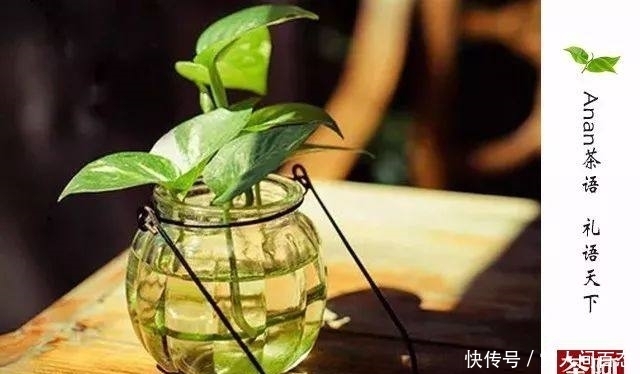 喝茶不能太“过”,这些“坑”老茶客也会中招!