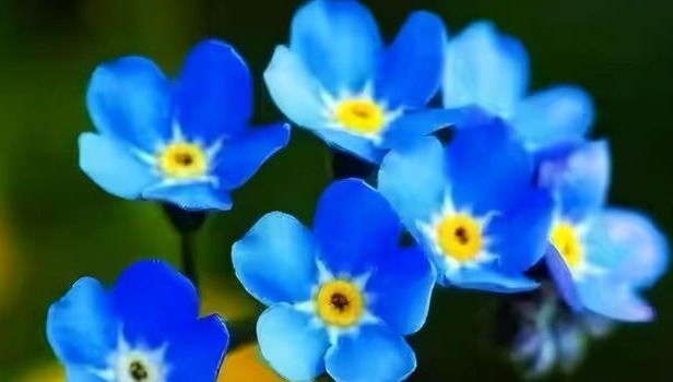 |心理学:你之所以不幽默,是因为缺乏这4种能力