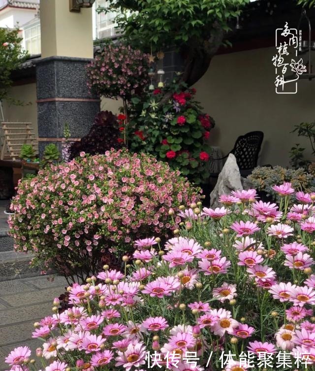 在茜的多肉小院里,花时间种快乐!在茜的多肉小院里,花时间种快乐!